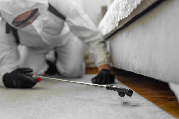 Professional Termite Control technician working in Arcadia, WI